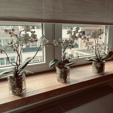 Luxusapartment In Stuttgart-mitte, W-lan, Magenta Tv * Stuttgart
