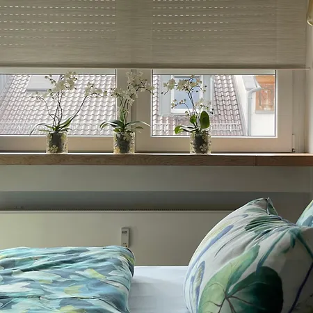 Apartment Luxusapartment In Stuttgart-mitte, W-lan, Magenta Tv